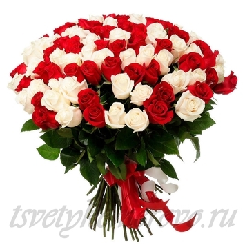 Букет из 101 красно - белой розы